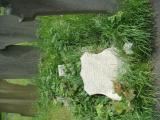 image of grave number 613569